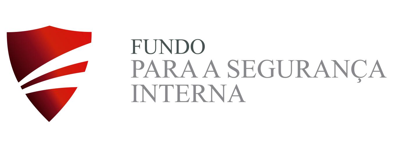 FSI.jpg